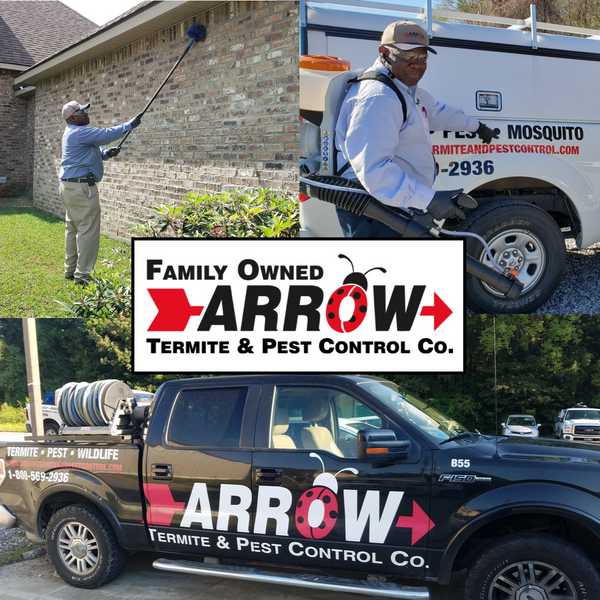 Free "All Arrow" Home Consultation