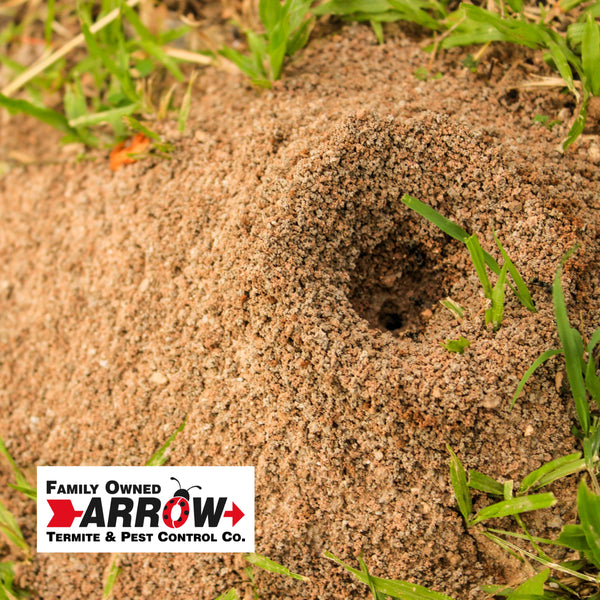 Fire Ant Treatment Control Program