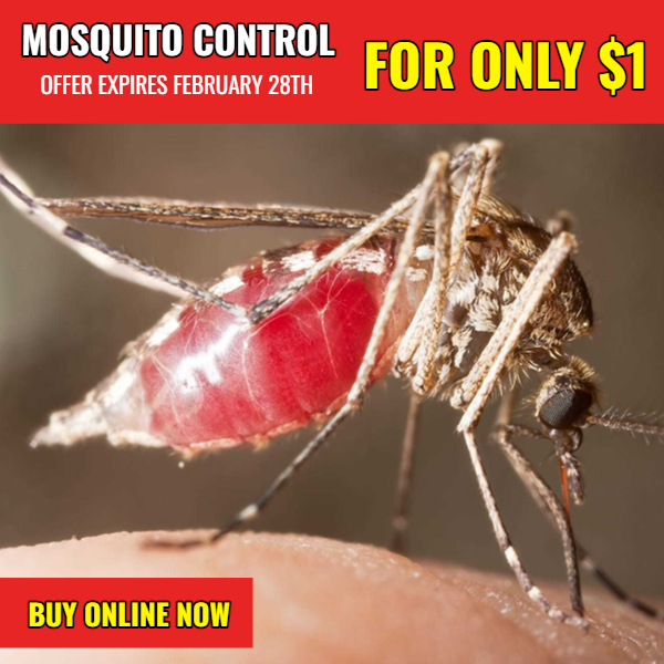 Mosquito Treatment Control (Initial Fee)