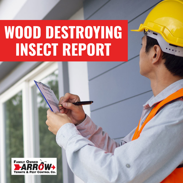 Wood Destroying Insect Report (WDIR)